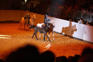 Bild 6 - Hansepferd Gala am 18.4.10